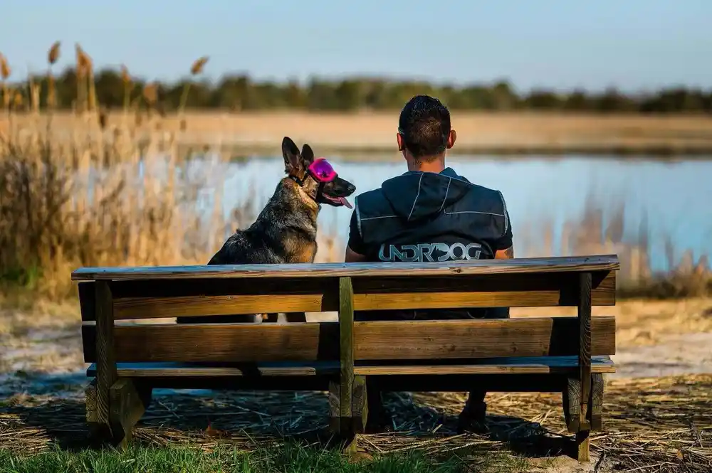 A trainer and his German Shepherd on a bench looking out over a lake