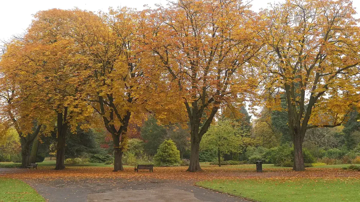 Cannon Hill Park, Birmingham