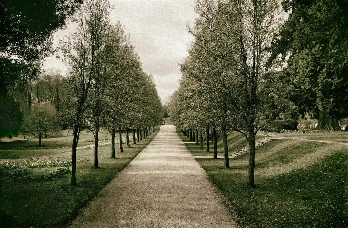 Ashton Court Estate, Bristol