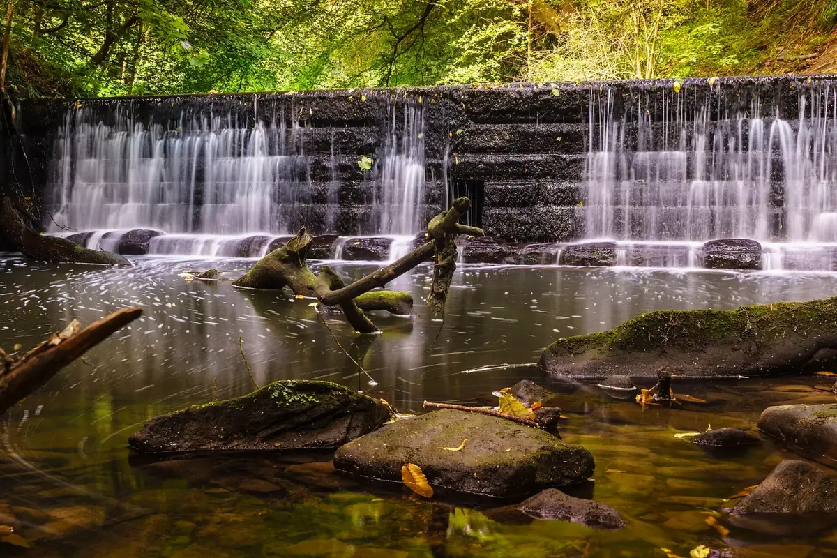 Jesmond Dene, Newcastle